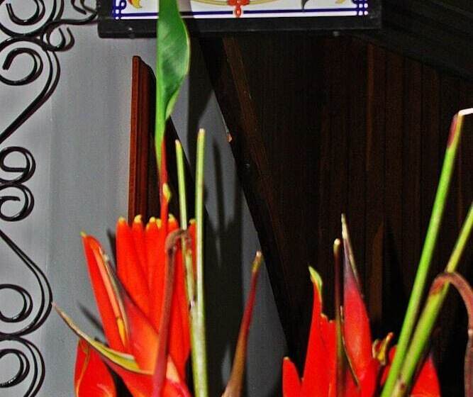 בית מלון כפרי Hospedaje Casa Real