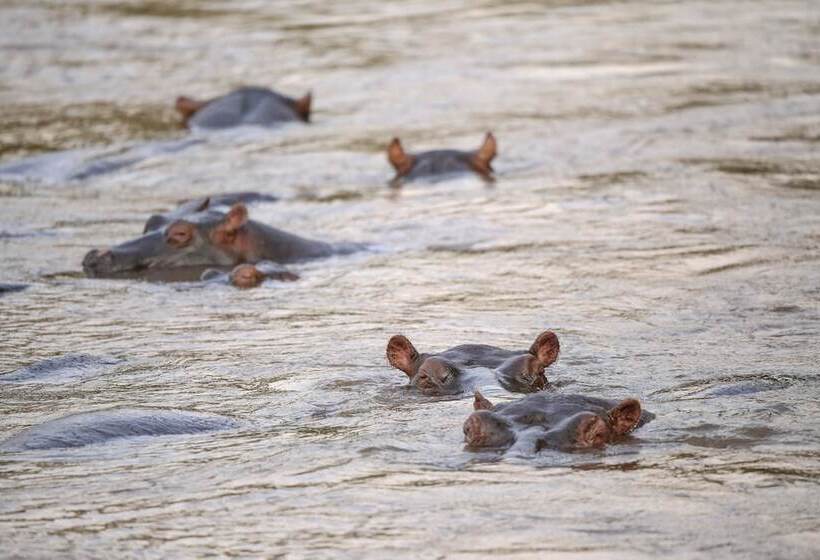 هتل Ihamba Lakeside Safari Lodge