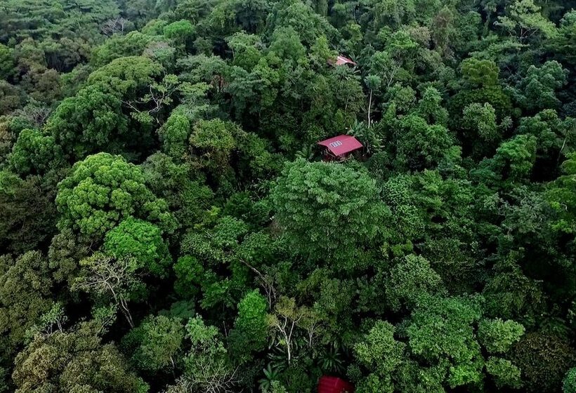 בית מלון כפרי La Loma Jungle Lodge