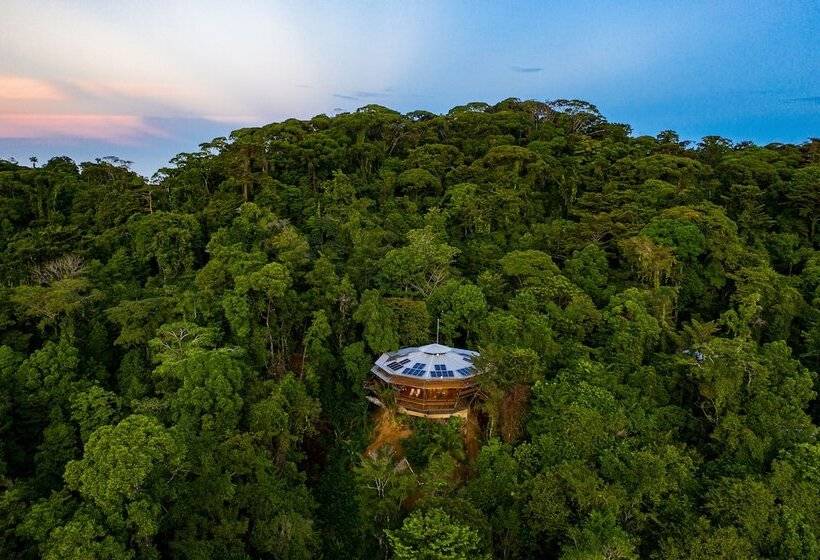 בית מלון כפרי La Loma Jungle Lodge