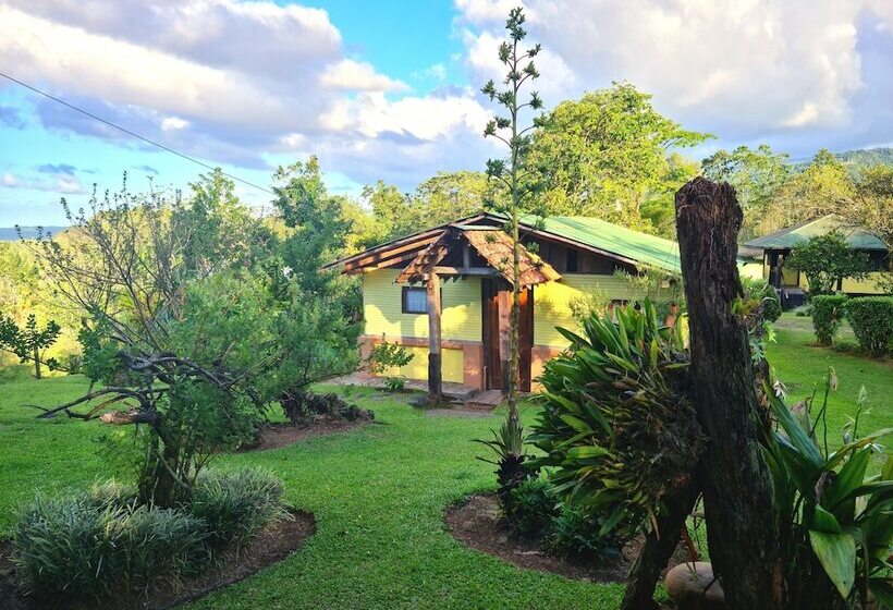 فندق Los Gallitos Eco Lodge