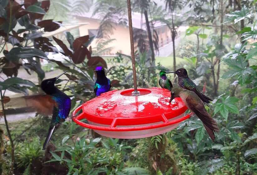 Отель Mindo Loma Bird Lodge