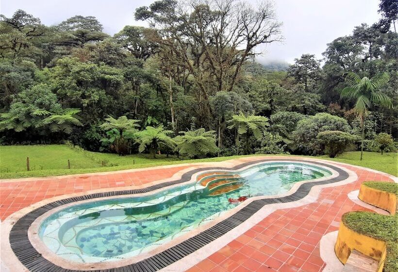 Отель Mindo Loma Bird Lodge