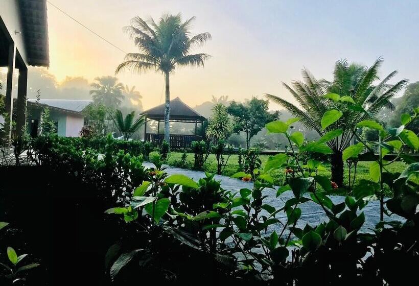 Отель O Jungle Spa E