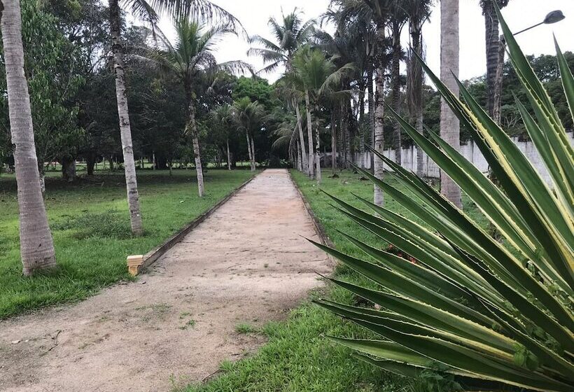 Отель O Jungle Spa E