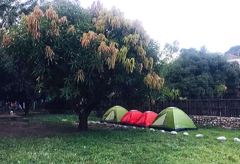 فندق Palomino Hostel By T2l