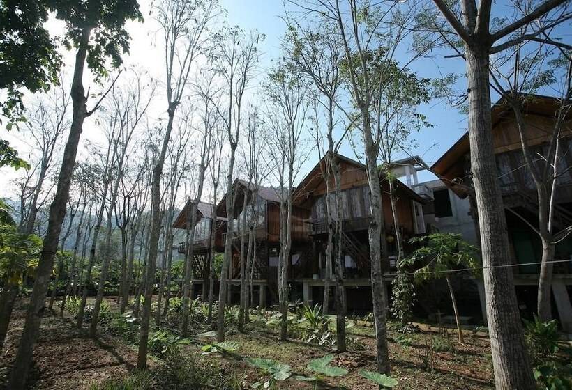 هتل Phong Nha Mountain House