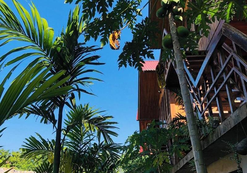 هتل Phong Nha Mountain House