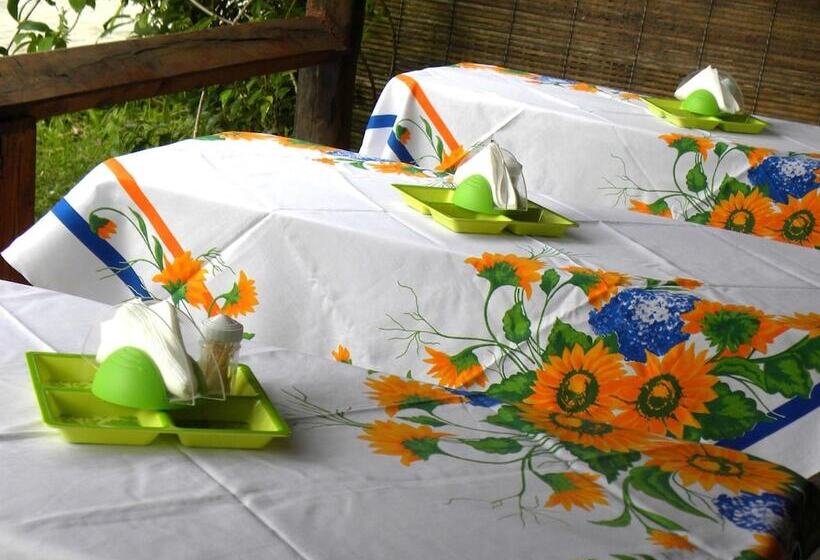 בית מלון כפרי Pousada Casa Verde Boipeba