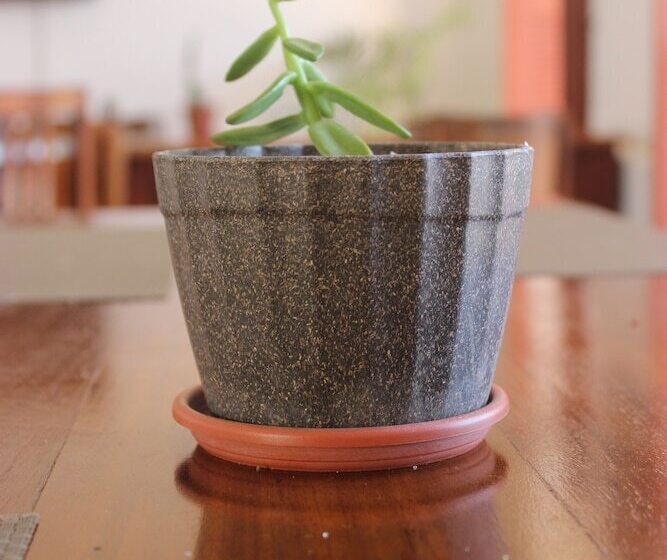 Отель Pousada Convento Da Conceição