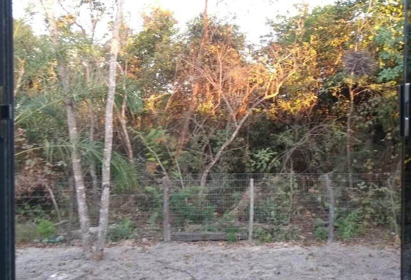 Отель Pousada Sagui