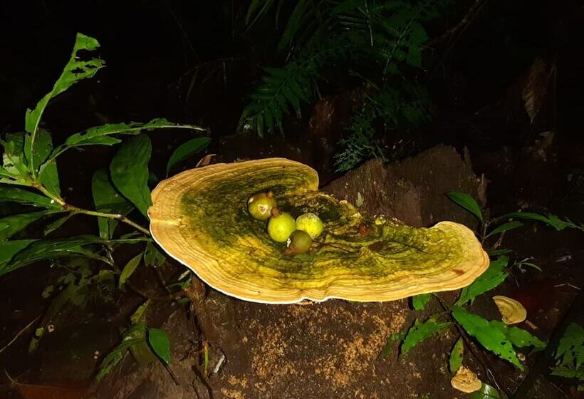 فندق Refugio Turistico Maiku