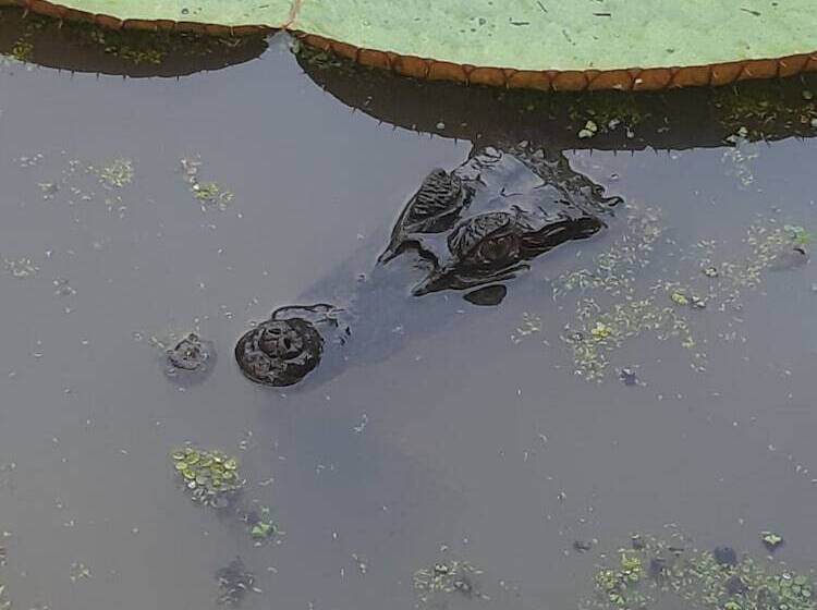 هتل Refugio Turistico Maiku