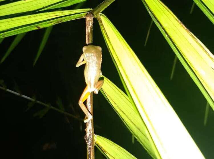 فندق Refugio Turistico Maiku