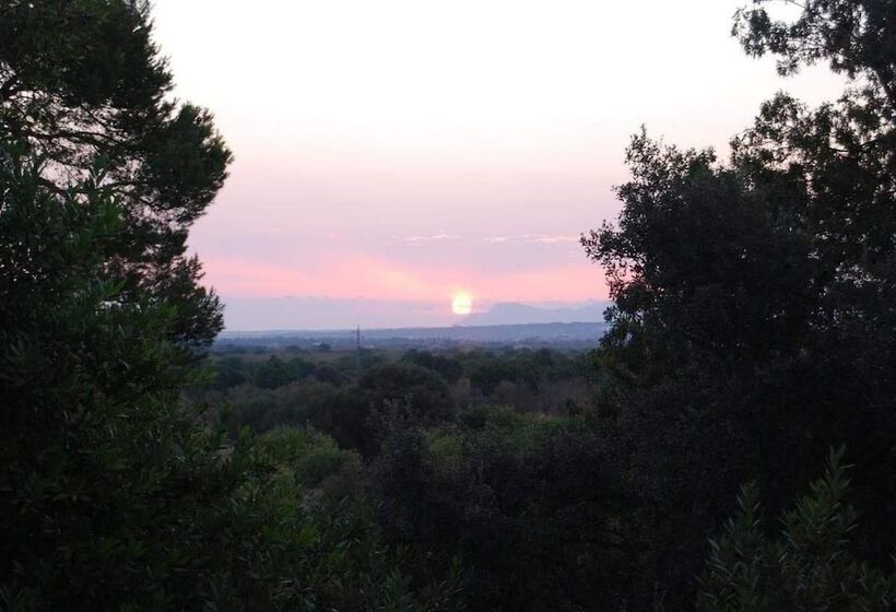 교외 호텔 Finca Son Vivot