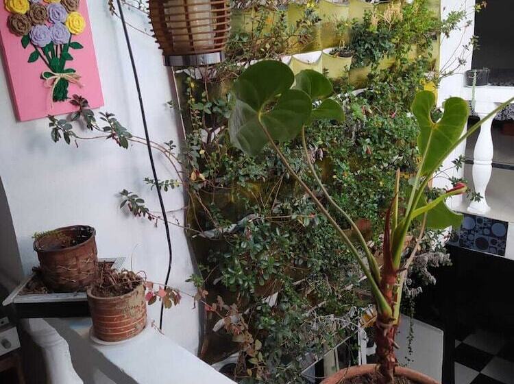 בית מלון כפרי Su Casa En Kennedy