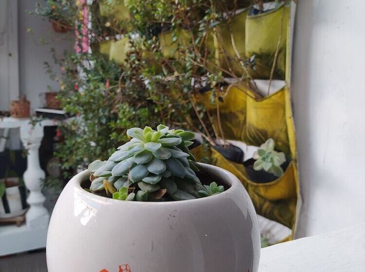 בית מלון כפרי Su Casa En Kennedy