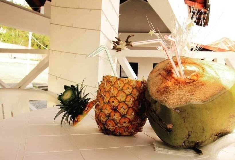 酒店 Suites & Rooms A&t Samana