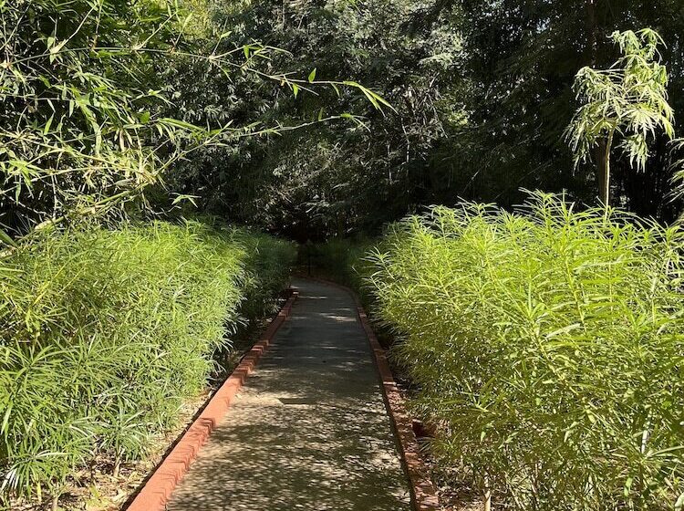 هتل Suleima Lodge