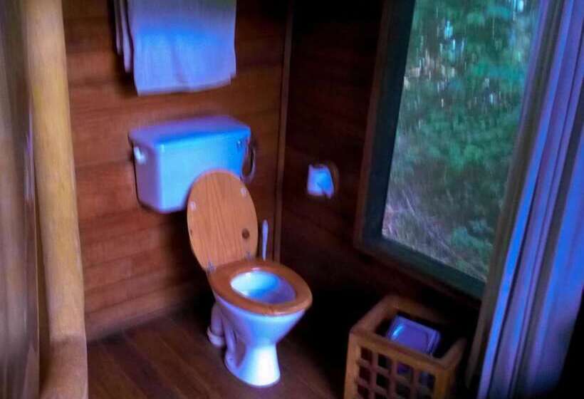 هتل The Rainforest Geo Lodge