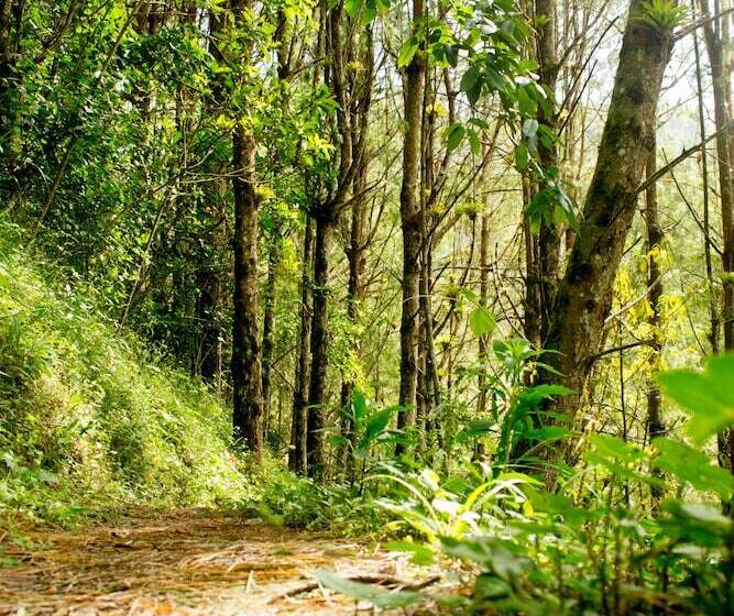 酒店 Ulbilla Hostería