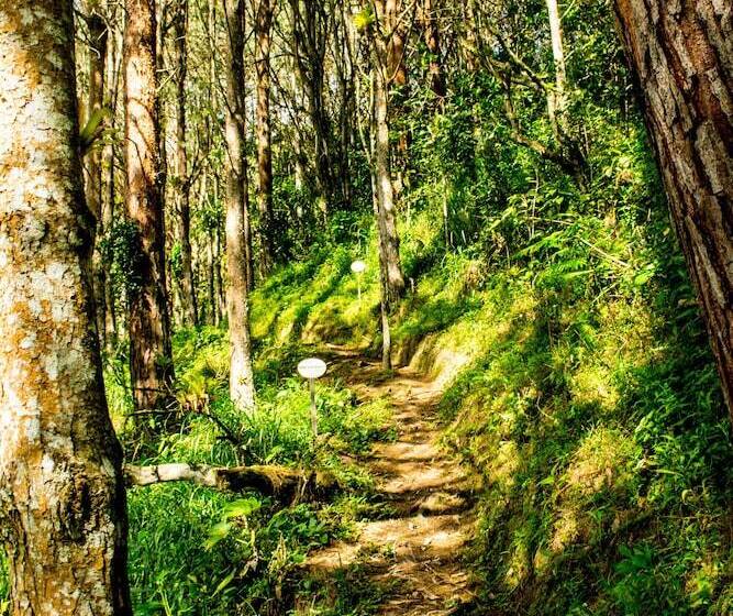 هتل Ulbilla Hostería