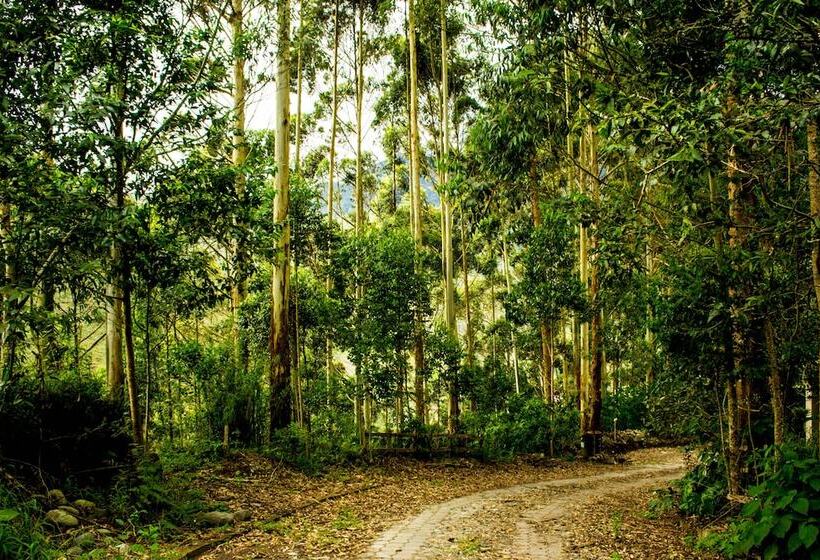 酒店 Ulbilla Hostería