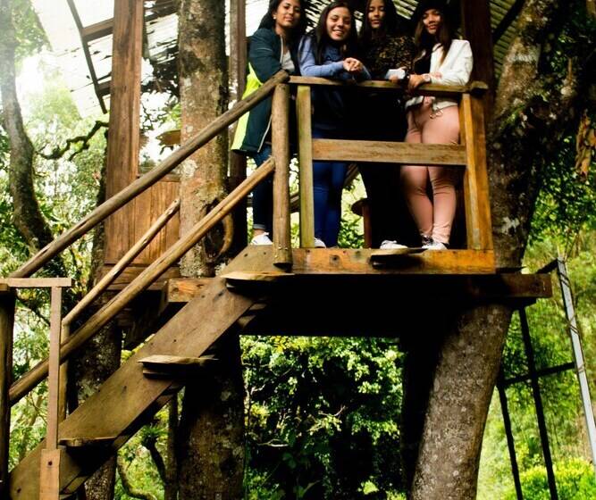 酒店 Ulbilla Hostería