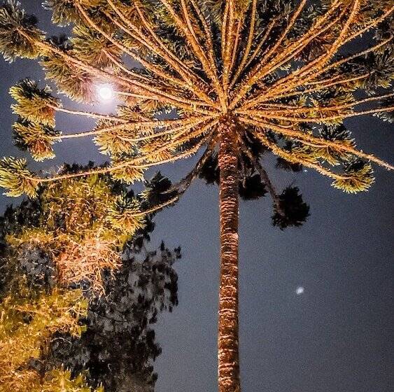 Отель Villa Das Araucarias