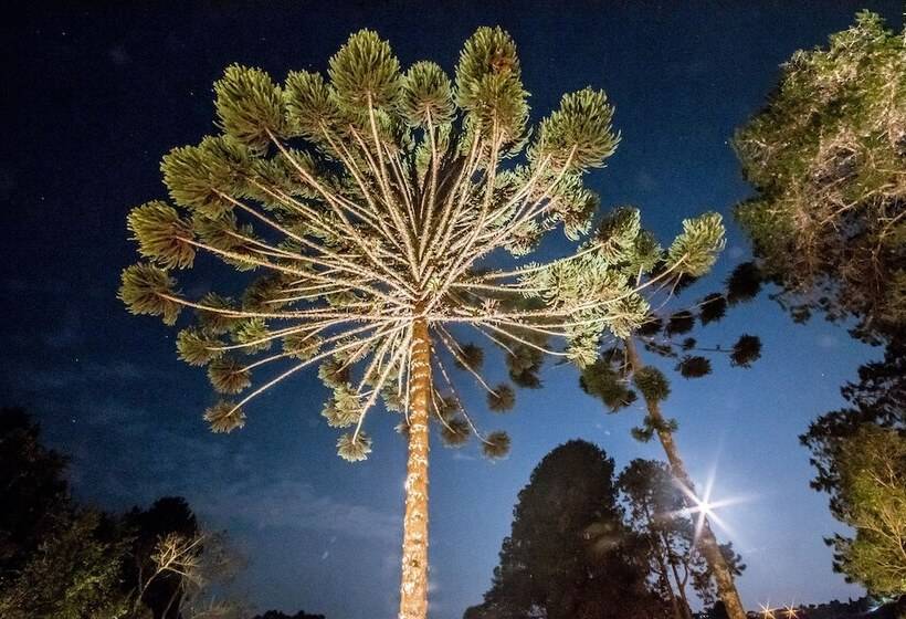 Отель Villa Das Araucarias