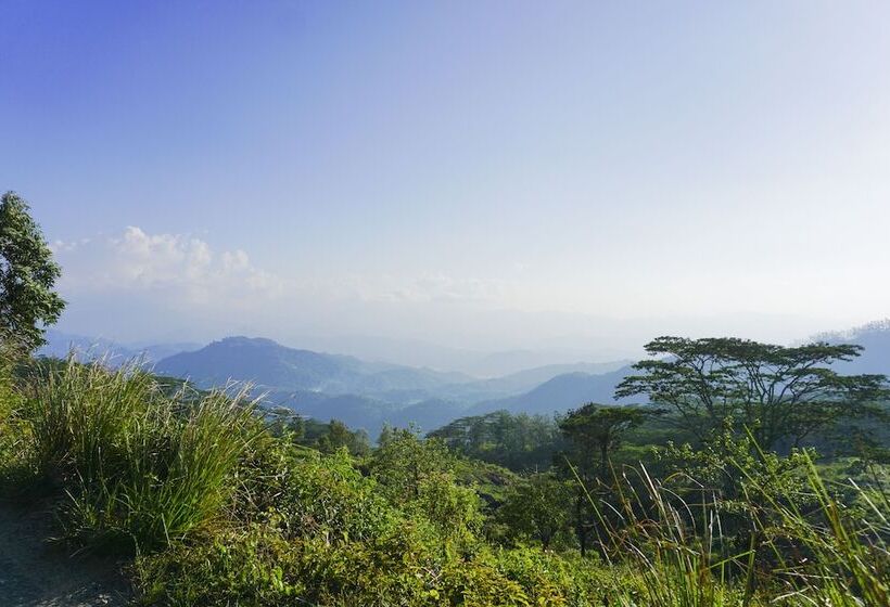 ホテル Wild Glamping Knuckles   Thema Collection