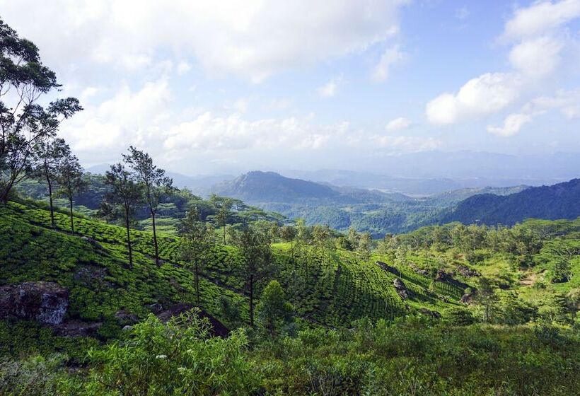 ホテル Wild Glamping Knuckles   Thema Collection