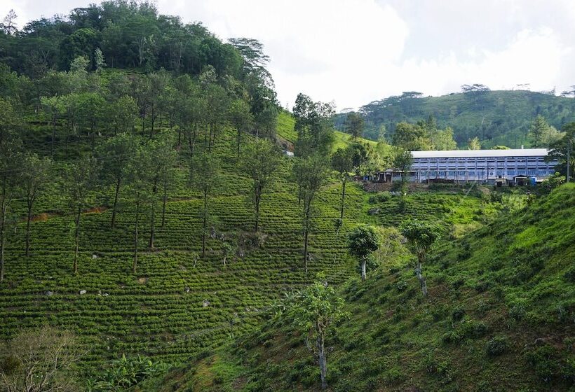 ホテル Wild Glamping Knuckles   Thema Collection