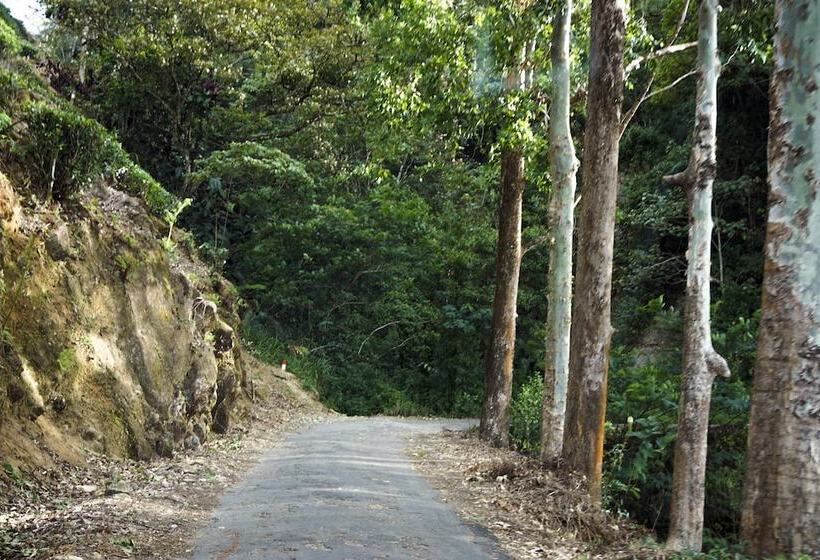 ホテル Wild Glamping Knuckles   Thema Collection