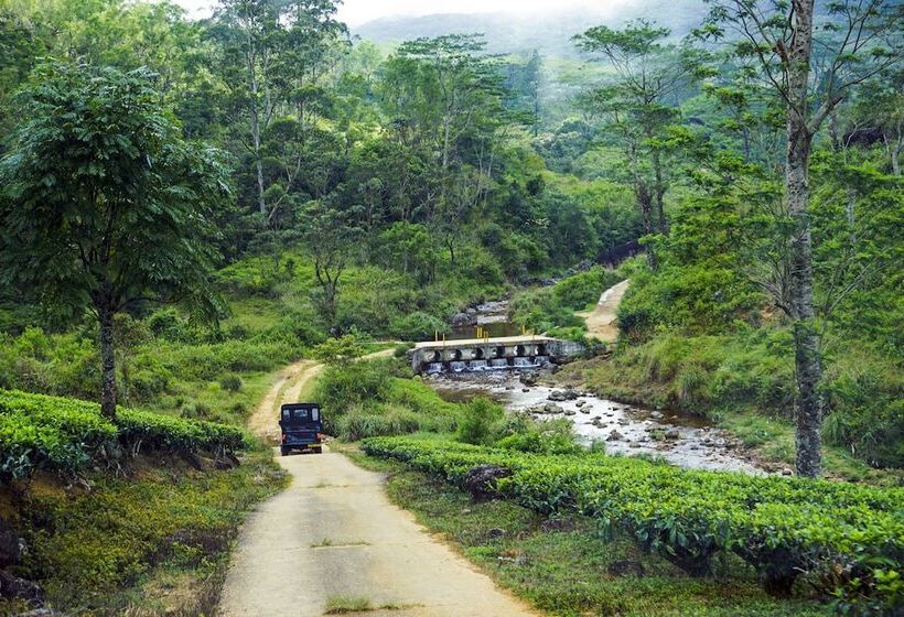 ホテル Wild Glamping Knuckles   Thema Collection