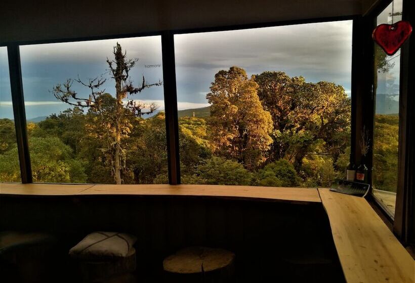 Iyok Ami Hostel Tours