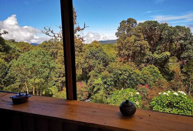 Iyok Ami Hostel Tours