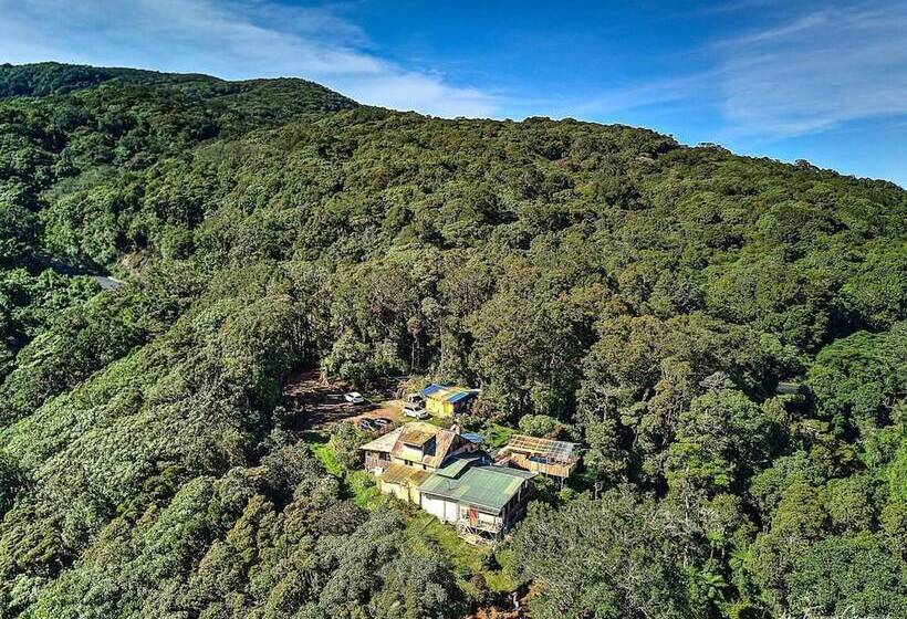 Iyok Ami Hostel Tours