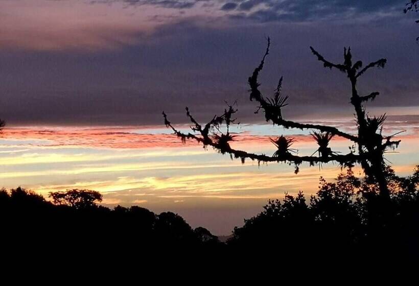 Iyok Ami Hostel Tours