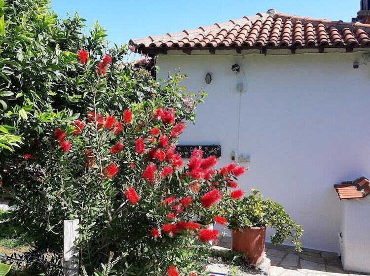 Katerina Fotopoulos Homes & Apartments