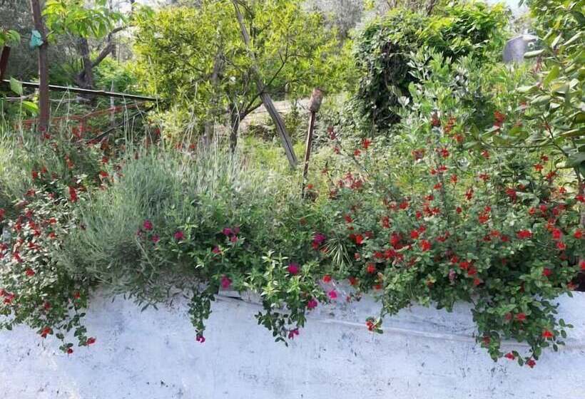 Katerina Fotopoulos Homes & Apartments