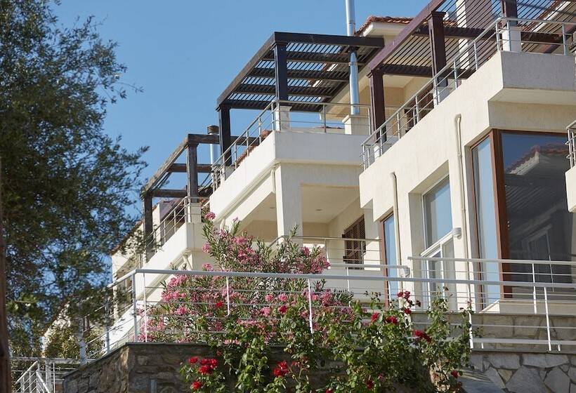 Olivia Sports And Sea