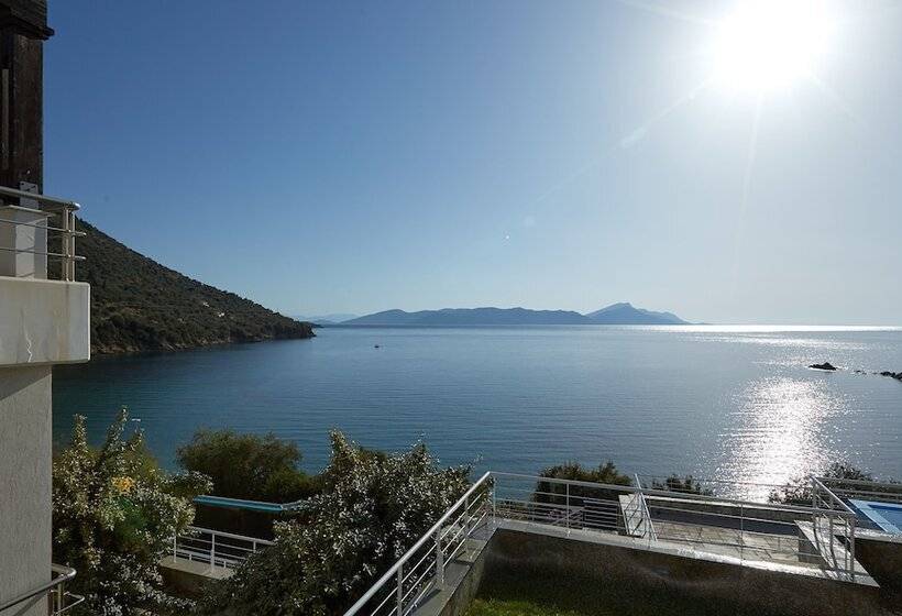 Olivia Sports And Sea