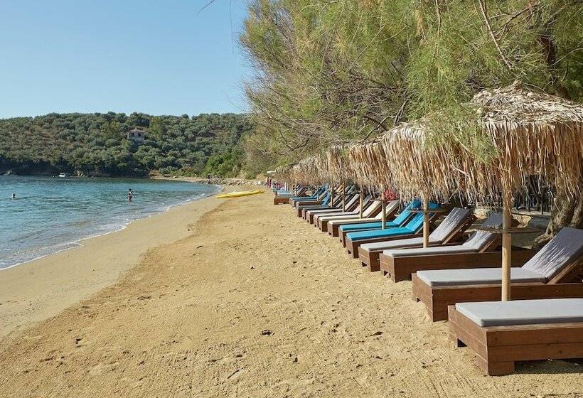 Olivia Sports And Sea