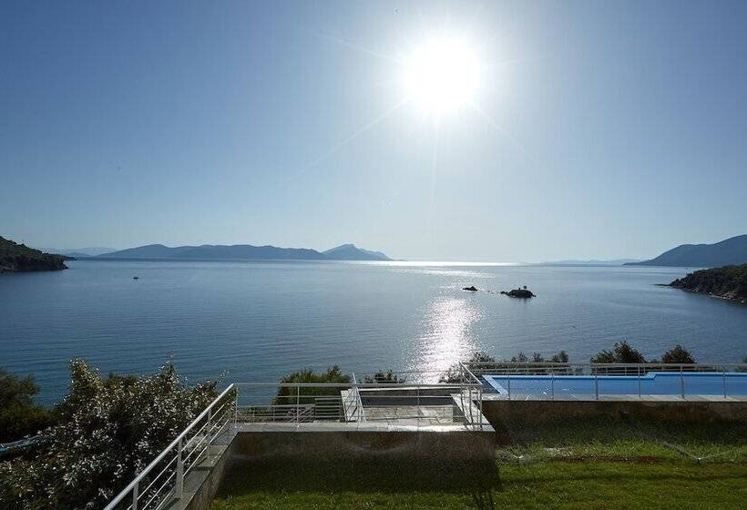 Olivia Sports And Sea