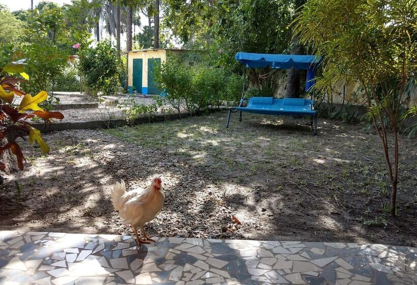 پانسیون Arijana Just Heavenly Resort