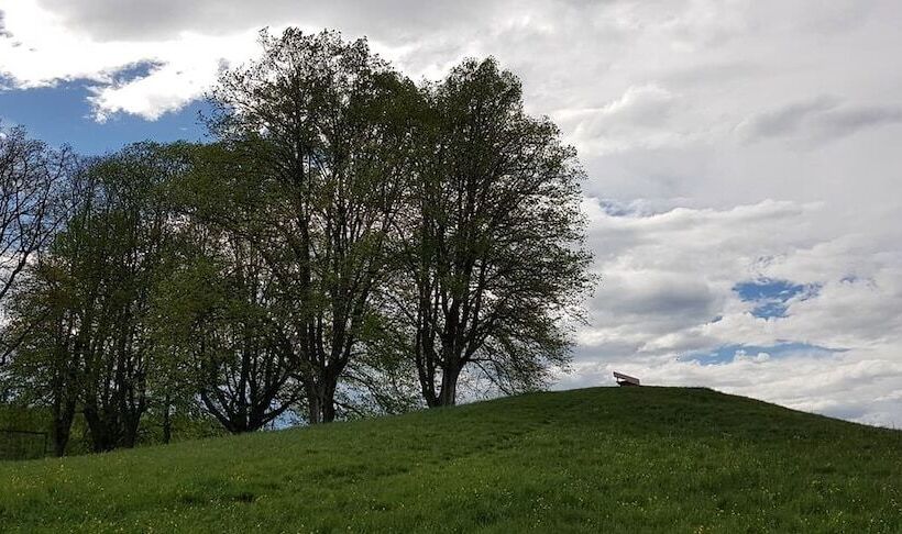Пансион Blue Shield House