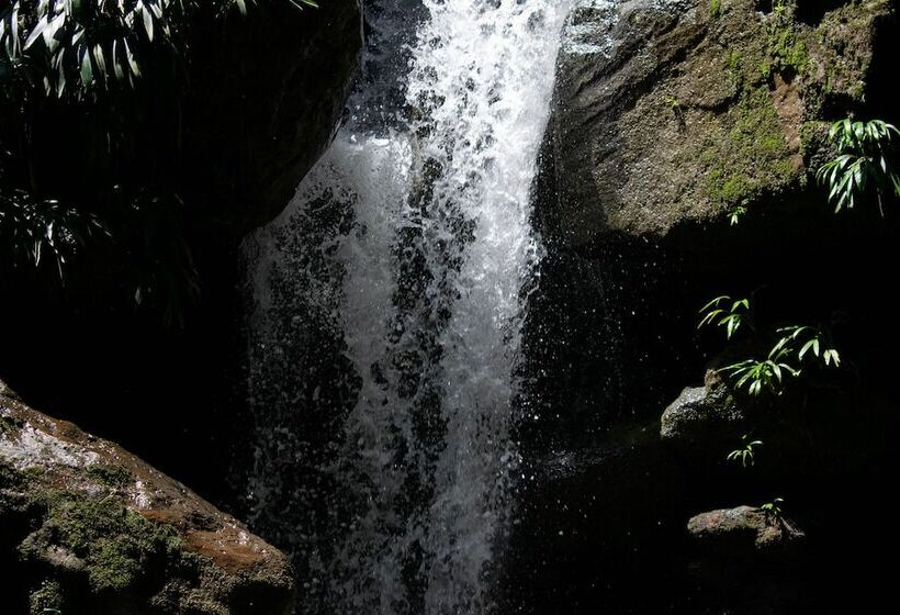 膳宿费 Casa El Cedro