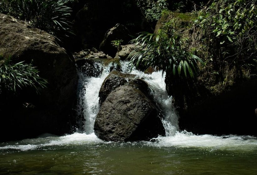 膳宿费 Casa El Cedro