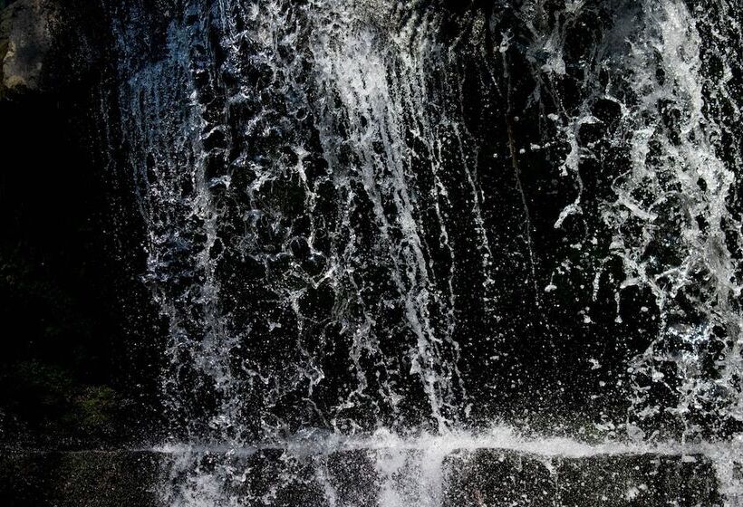 膳宿费 Casa El Cedro